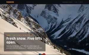 Ski area board